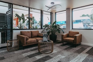 A modern lobby with leather sofas, a large potted plant, and a view of the city through large windows.