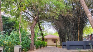 A cobblestone pathway leading to a building with a tiled roof, surrounded by lush greenery and bamboo. - Svatma Mayavaram (Kuthalam)