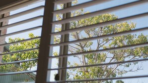 A view through window blinds of a tree with green leaves and branches. - 42 Banksia by the BnB Collection (Centennial Park)