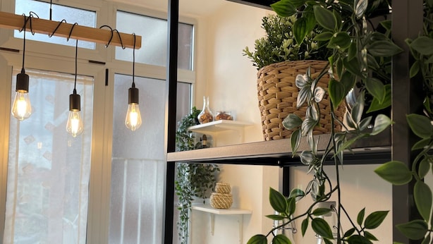 Una cocina moderna con encimera oscura, luces colgantes y estantes con plantas y utensilios de cocina.