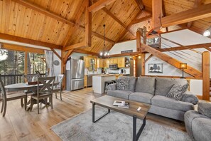 Smart TV, fireplace, books