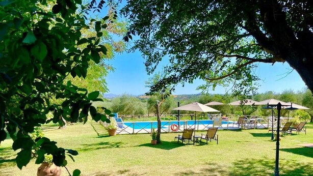 Zona de piscina amb gandules i ombrelles, envoltada d'herba i arbres.