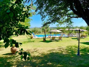 A pool area with lounge chairs and umbrellas, surrounded by grass and trees. - Il Girasole Terzuolo (Scansano)