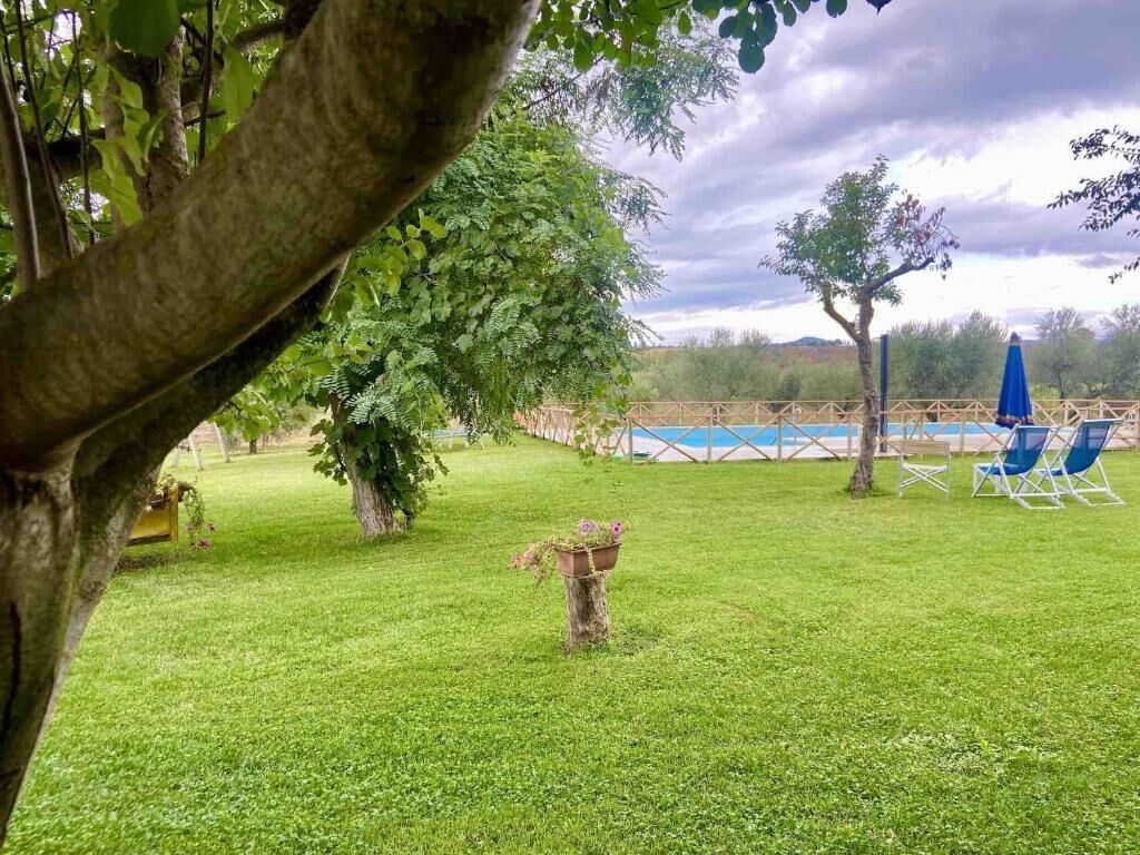 Un'area verde ben curata con un piccolo albero, un ombrellone blu e una piscina sullo sfondo.