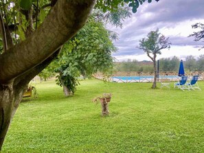A well-maintained grassy area with a small tree, a blue umbrella, and a pool in the background. - Il Girasole Terzuolo (Scansano)