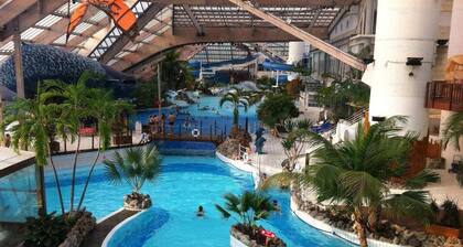 APPARTEMENT ENTIER 3 piĂšces 62 m2 avec Balcon
proche TRAM T2 a 5 mn a pied