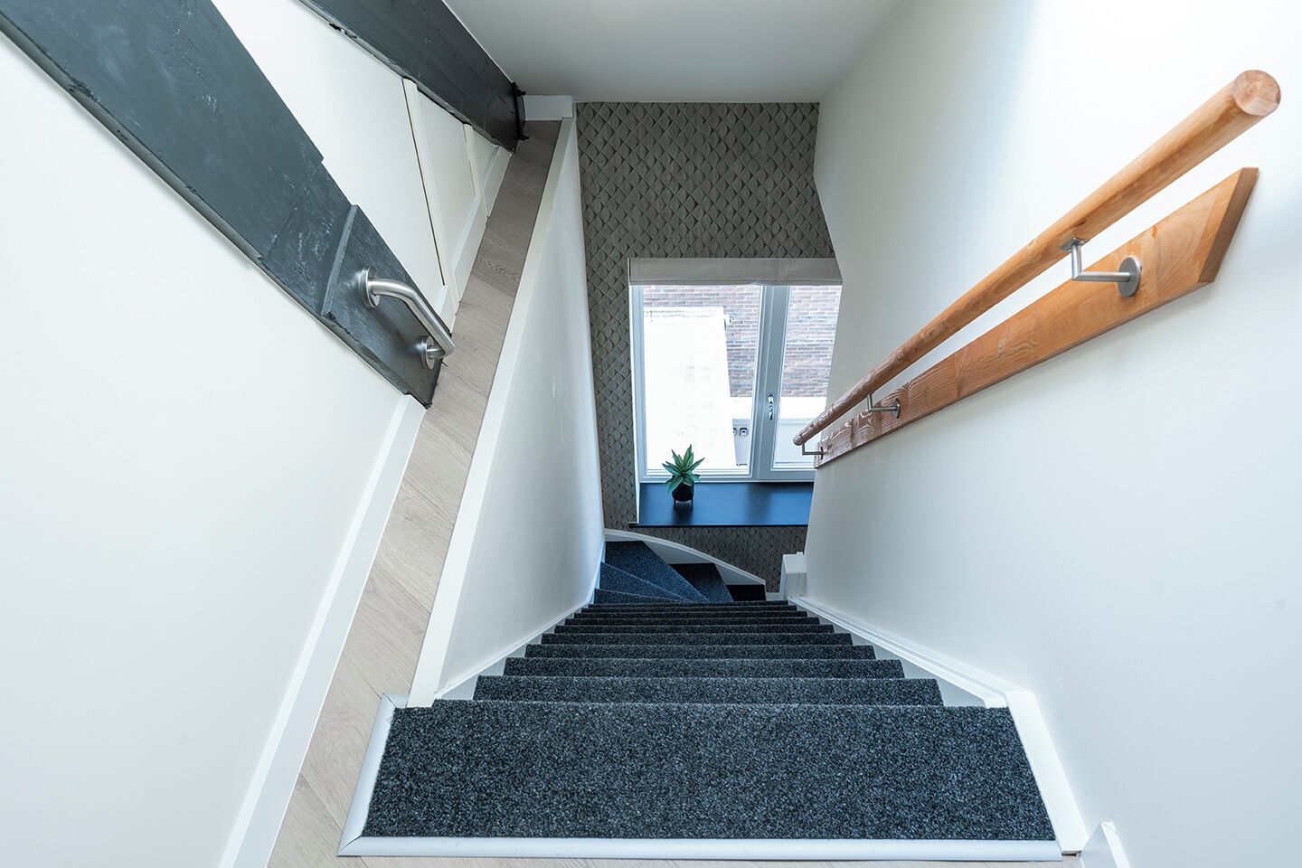 Un escalier moderne avec une rampe en bois, des marches recouvertes de moquette et une vue sur un coin cuisine avec une fenêtre et une plante.