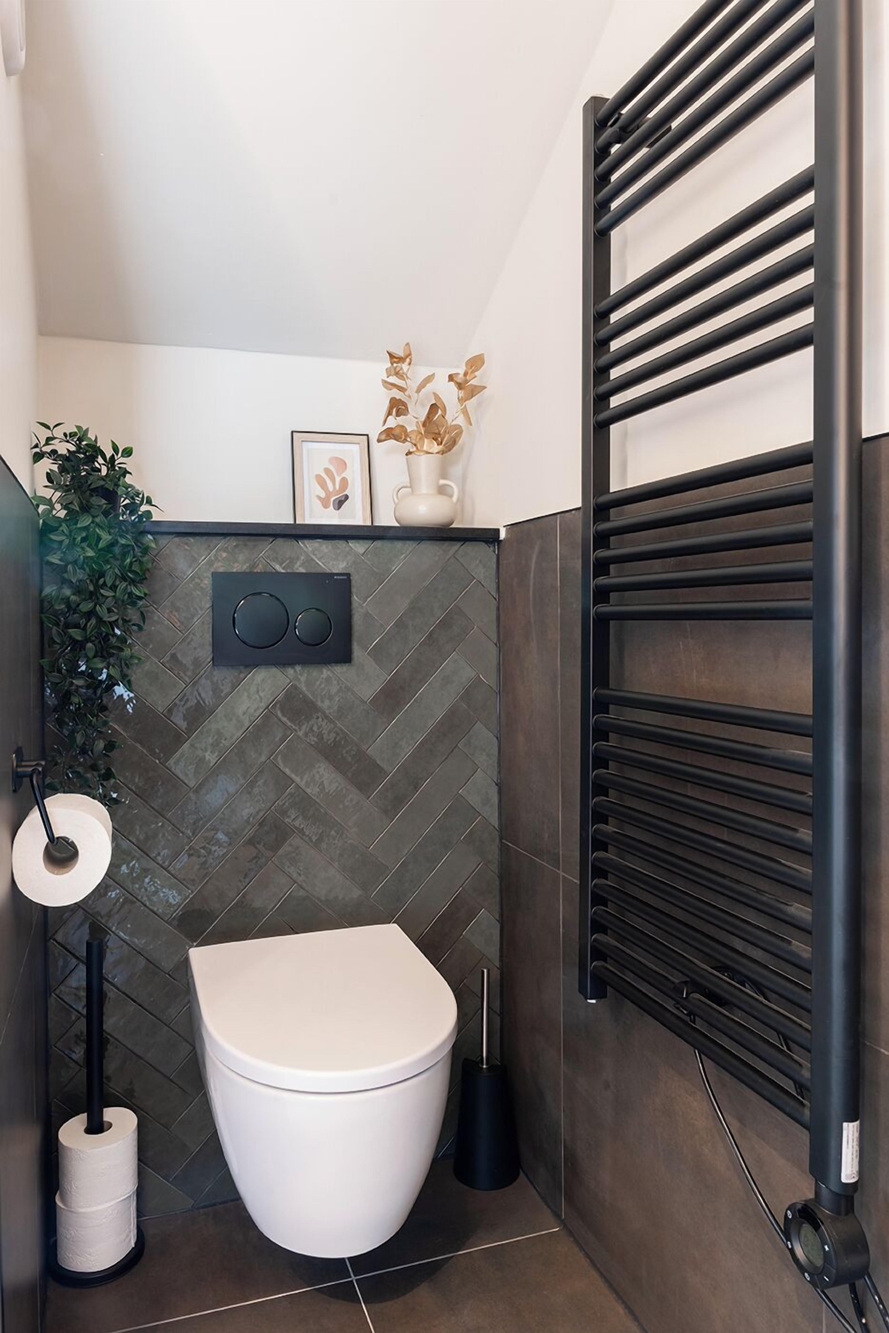 Een moderne badkamer met een wit toilet, een zwarte handdoekhouder, een in de muur gemonteerd spoelmechanisme, een toiletrolhouder en een potplant.