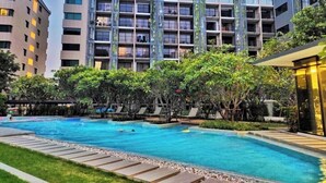 A modern hotel with a swimming pool surrounded by lush greenery and lounge chairs.