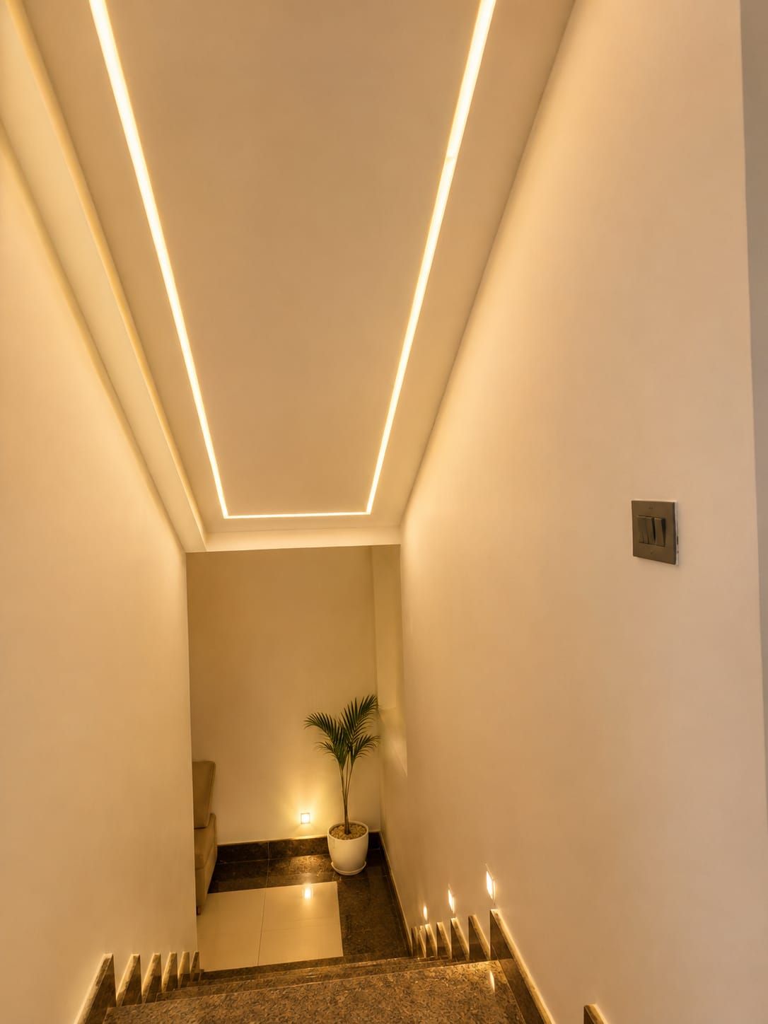 Un couloir étroit au design moderne, agrémenté d’une plante en pot et d’un interrupteur sur le mur.