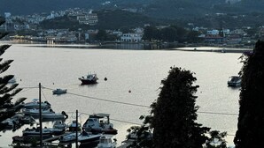 Un puerto deportivo con barcos amarrados, una masa de agua tranquila y un pueblo al fondo.