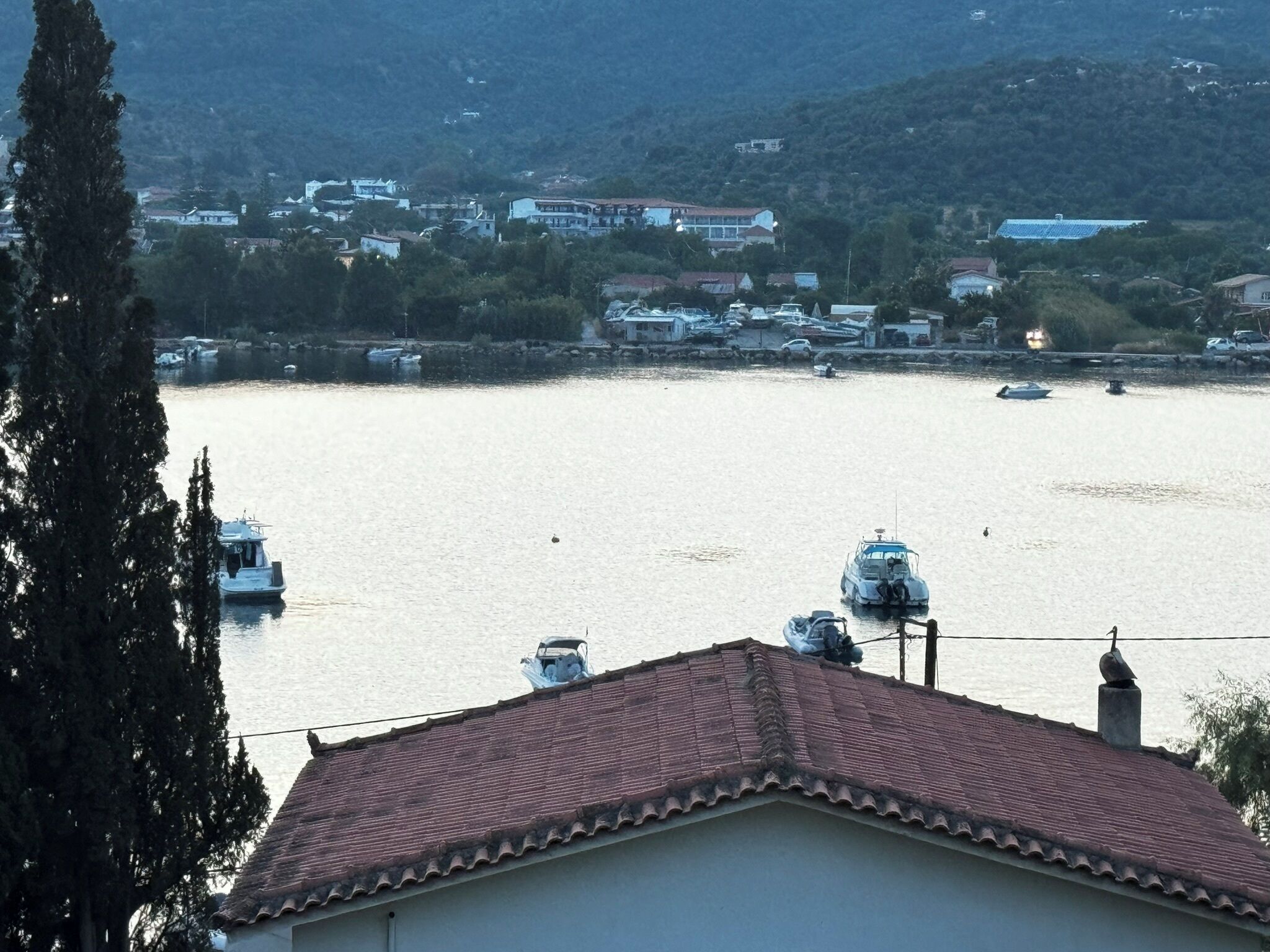 A coastal town with boats on the water, buildings in the background, and a prominent tree in the foreground.