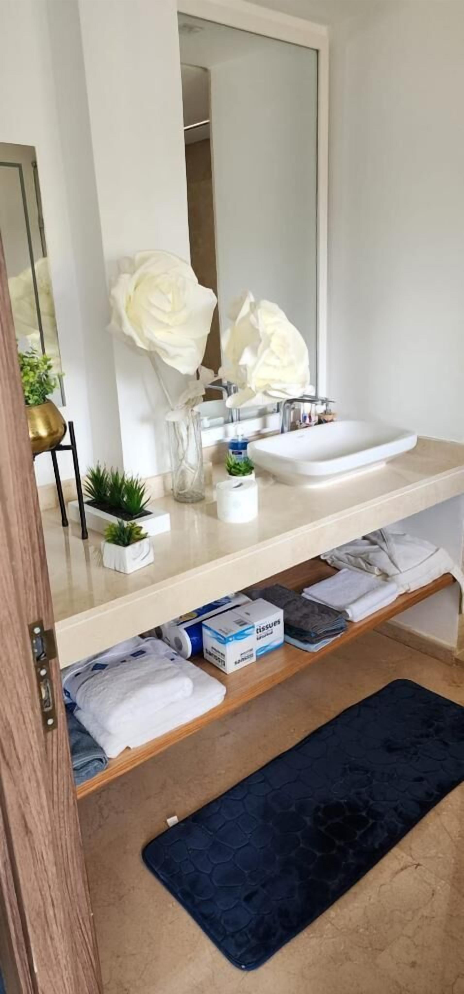 A bathroom with a white sink, a large mirror, and a vanity with a small plant.