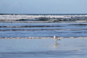 Cottage | Beach - Atlantic Ocean and Mountain View Cottage in Kerry (Ballyduff)