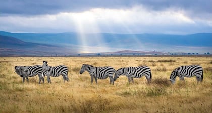 Kilimanjaro Home Of Travelers