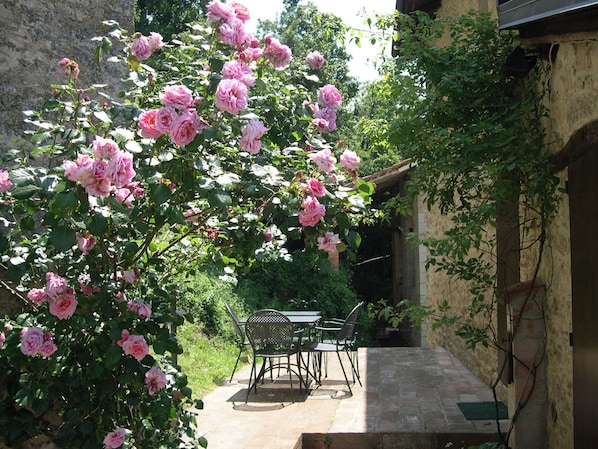 Restauration en plein air