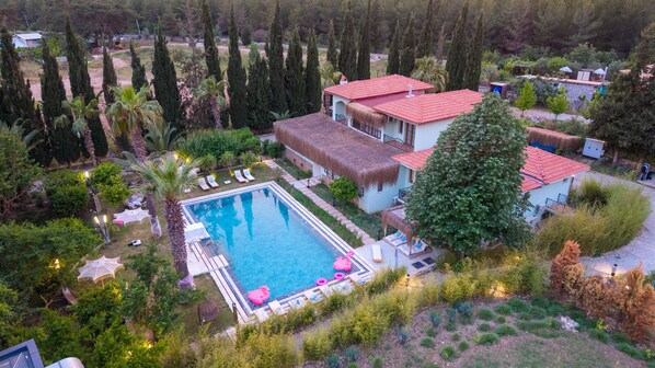 Une grande piscine entourée de chaises longues et de parasols, avec un bâtiment à toit de chaume et un grand arbre à proximité.