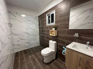Shower, soap, shampoo, toilet paper