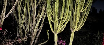 Chic Casita with AC and WiFi in amazing Eivissa