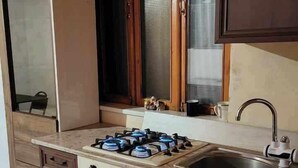 A kitchen with a gas stove, oven, and a sink. - Safari House (Tbilisi)