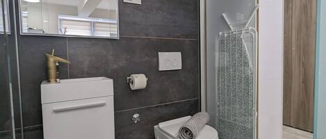 Ducha, secador de pelo, toallas, jabón