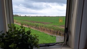 A window view of a green field with a potted plant on the windowsill. - Gezellige Ruime Stacaravan om Lekker tot Rust te Komen bij ons op de Camping (Burum)