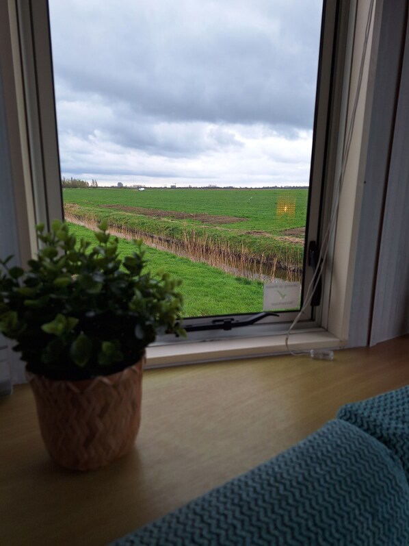 A window view of a green field with a potted plant on the windowsill.