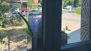 A view from a window with a patterned blind, overlooking a parking lot and a multi-story building with balconies. - GARDEN HOUSE MADRID (Madrid)