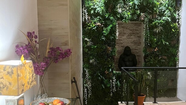 A modern interior with a wooden floor, a glass table with fruit, a hanging light fixture, and a green wall with plants. - GARDEN HOUSE MADRID (Madrid)