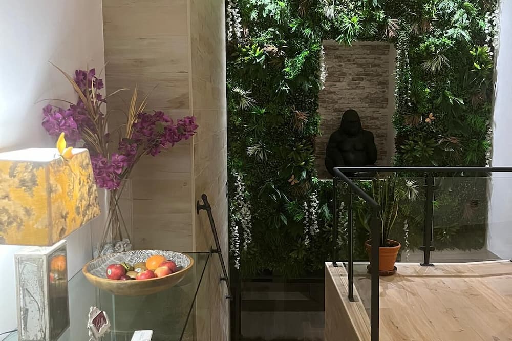 GARDEN HOUSE MADRID