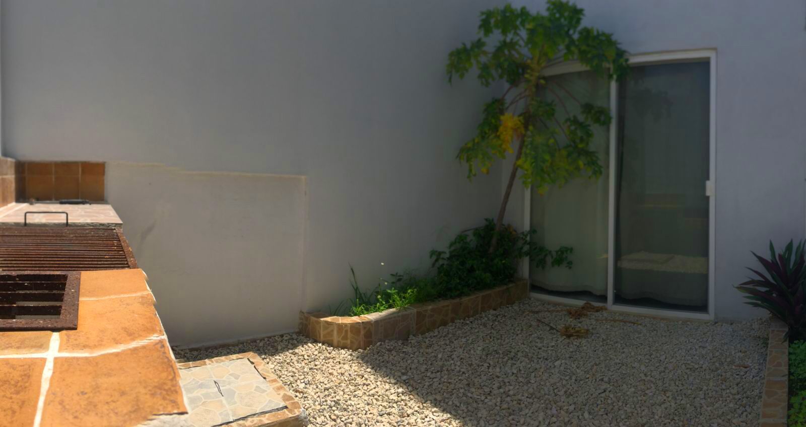 Un petit espace extérieur comprenant une terrasse, un arbre et une porte-fenêtre coulissante.