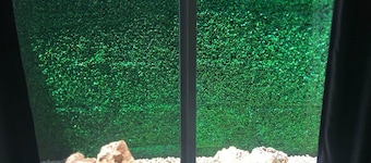 Green Lofts