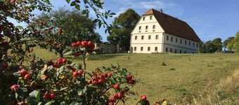 麥克艾利斯林登霍夫飯店