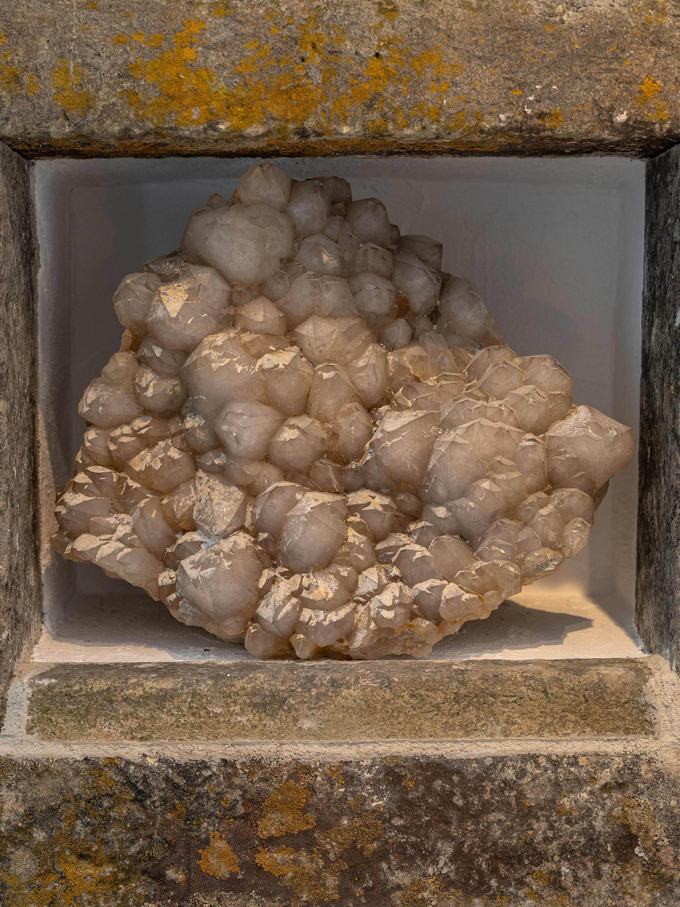 A mineral specimen in a display case.