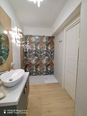 Shower, hair dryer, bidet, towels