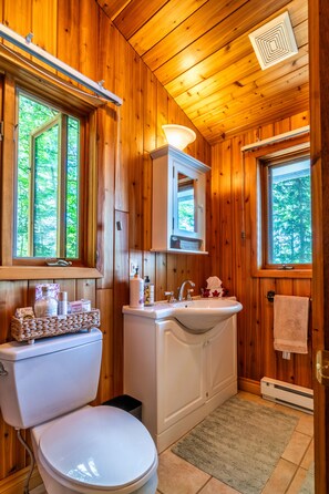 Hair dryer, towels, soap, shampoo