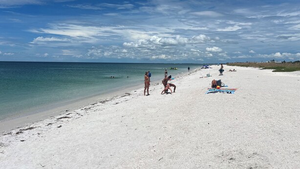 A beach with clear turquoise water, white sand, and a few people sunbathing. - Pool Heated House - Near beach in Port Charlotte (Port Charlotte)