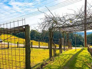 Property grounds - Peaceful Family Retreat, 5 mins to Beach (Terrigal)