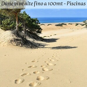 Beach - Cozy 4-Person Apartment in Arbus with Pine Forest Views (Arbus)