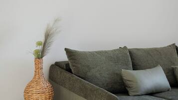 Departamento urbano | Área de sala de estar | Smart TV de 55 pulgadas con canales digitales