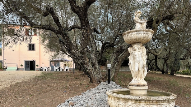 Una fuente de piedra con una estatua, rodeada de rocas, en un parque con árboles y un edificio al fondo.