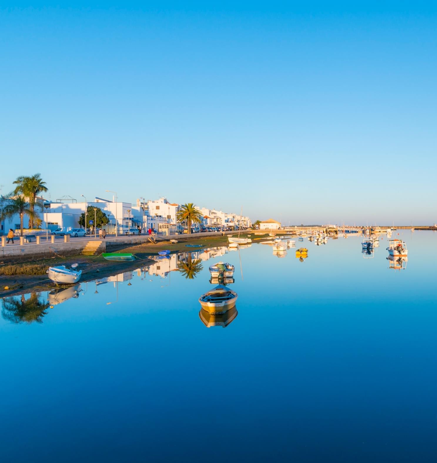 Una marina costera con barcos, cielo despejado y edificios a lo largo de la orilla.