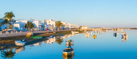 Una marina costera con barcos, cielo despejado y edificios a lo largo de la orilla.