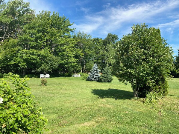 Terrain de l’hébergement