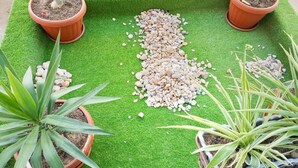 A green artificial turf area with potted plants and pebbles. - Appartement / Condominium de 3 Chambres et 3 Salles de Bain (Mamelles)