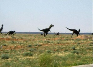 Miscellaneous - HuaMeng Hotel (Erenhot)