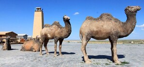 Miscellaneous - HuaMeng Hotel (Erenhot)