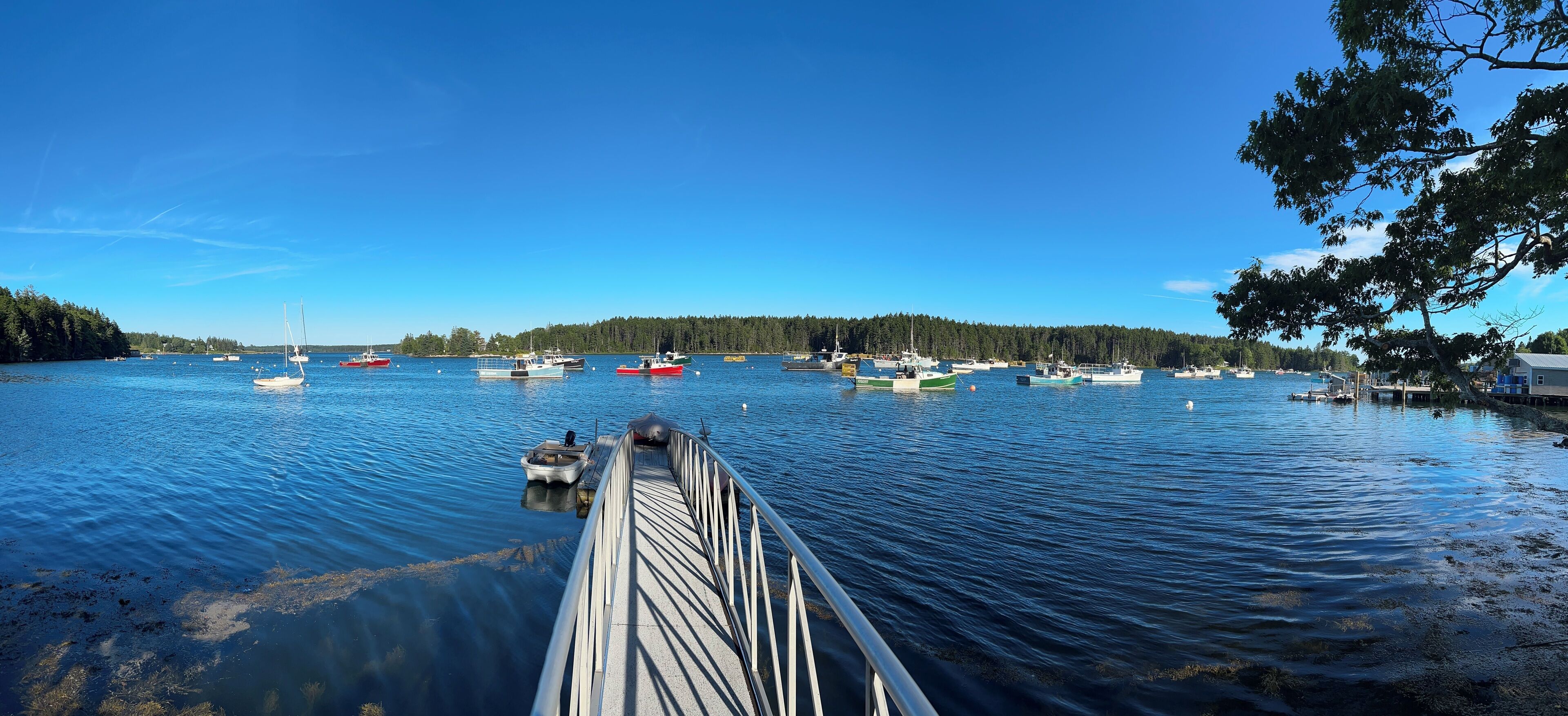 NEW to Rental Market Aug 2024! Beautiful Waterfront Home on Pleasant Pt Harbor
