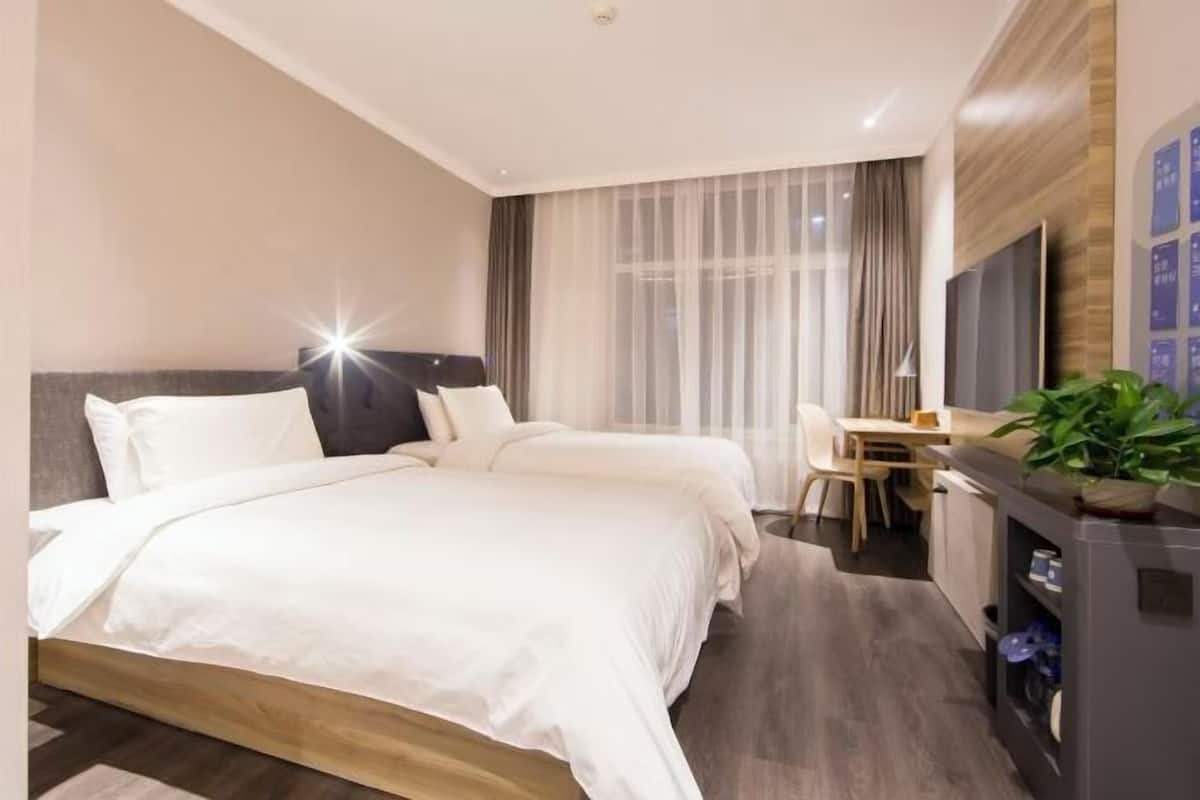 A hotel room with a double bed, a desk, a chair, a TV, and a plant.