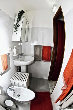 Douche, sĂšche-cheveux, bidet, serviettes fournies